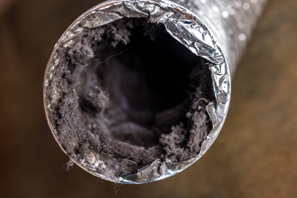 Best Dryer Vent Cleaning Services  in Plymouth, NC